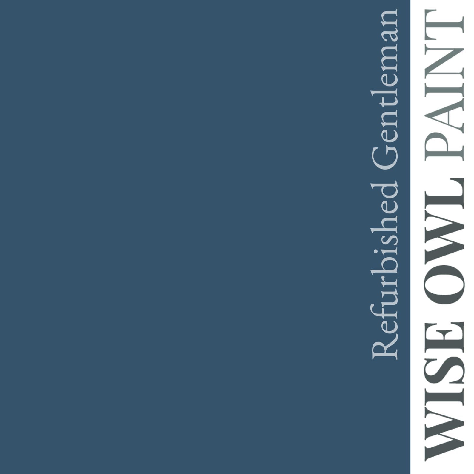 Wise Owl Chalk Synthesis Paint