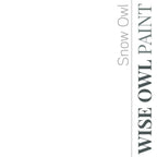 Wise Owl Chalk Synthesis Paint