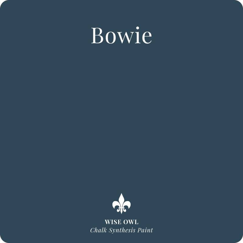 Wise Owl Chalk Synthesis Paint